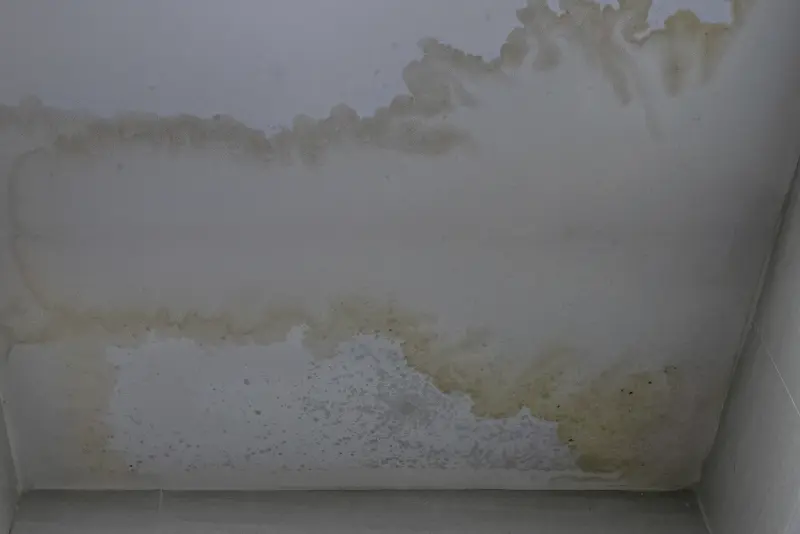 Water-damaged bathroom ceiling with mold before bathroom painting Costa Mesa